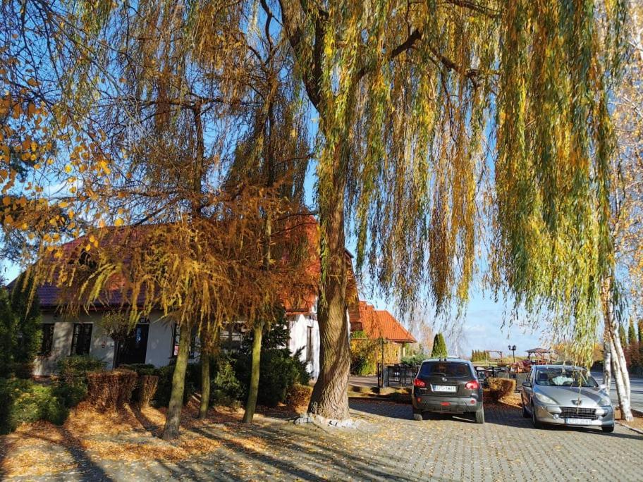 Dobry Klimat Uniejow Dış mekan fotoğraf